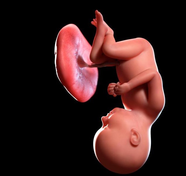 宫缩|孕期最后一个月,孕妇遵循“三做二不做”,胎儿出生更顺利