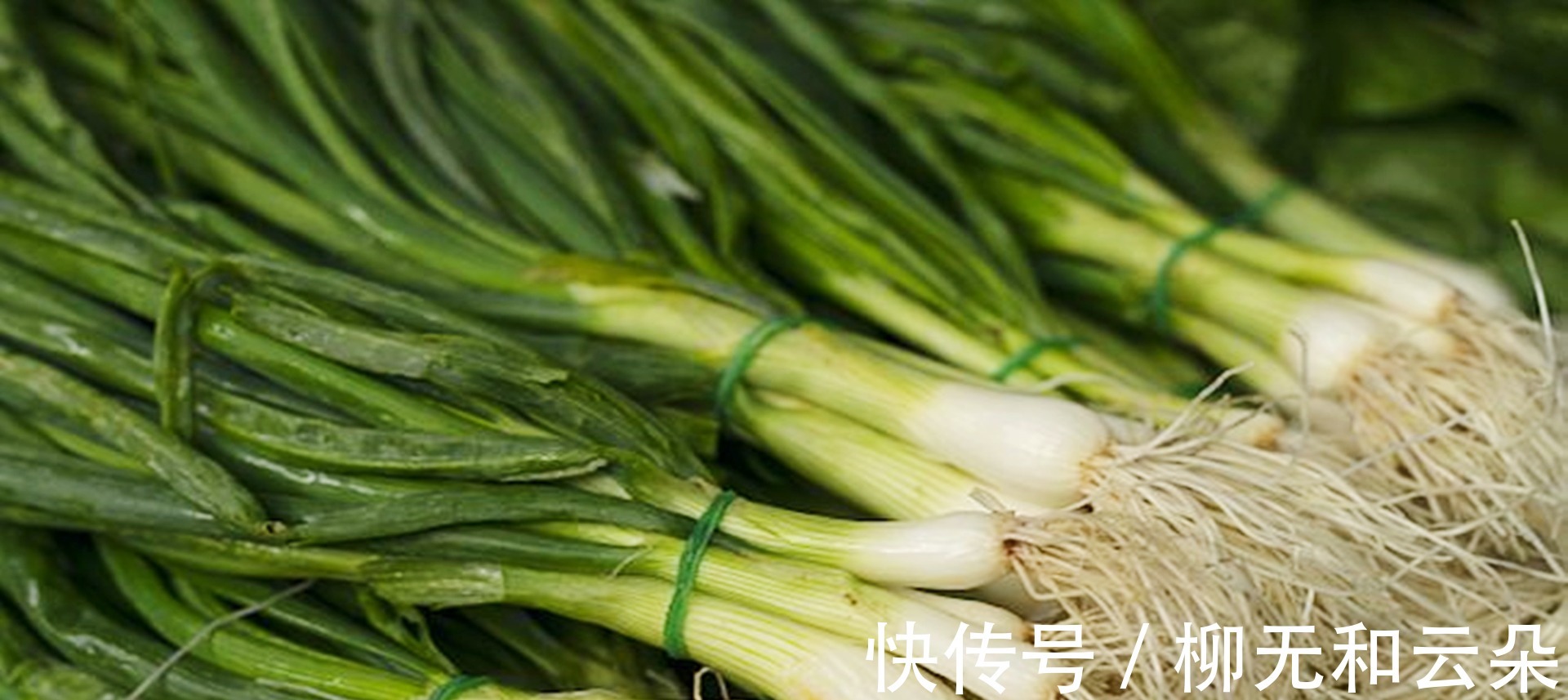 才知道,这种小葱千万不要吃,多亏老妈提醒我,看完别再买了!