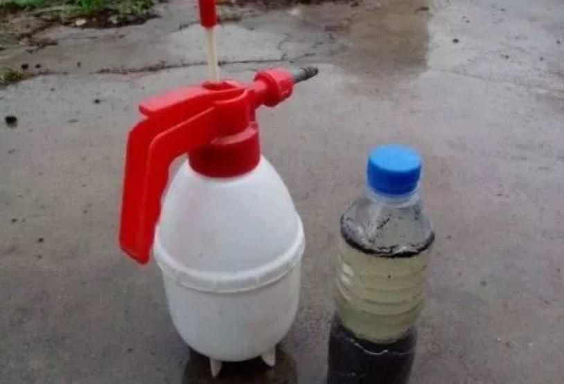 “蚯蚓粪”养花也不赖，增粉还透气，啥花都能养好！