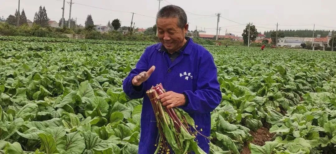 接种|早安武汉︱武汉市新冠疫苗加强免疫开始了！这类人群可就近接种