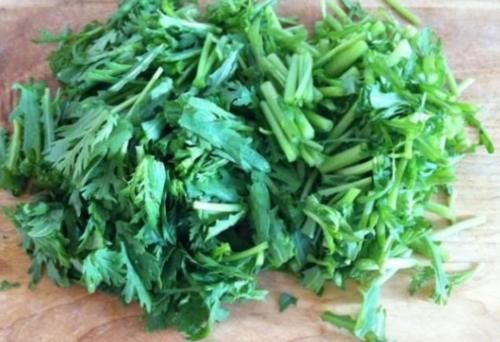 茼蒿素|此物是痛风的“克星”,每天吃点,可降低体内嘌呤含量,预防痛风