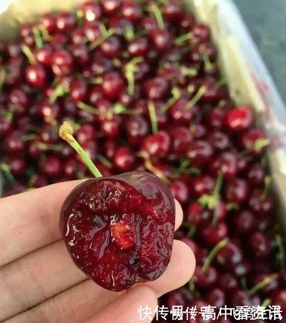 月份儿|孕妈想吃车厘子,老公只买一颗被冷嘲热讽,老公的解释感动全家