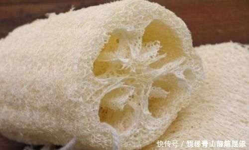 丝瓜络用来洗碗可惜了,放开水里烫一烫,还有厉害作用,太棒了