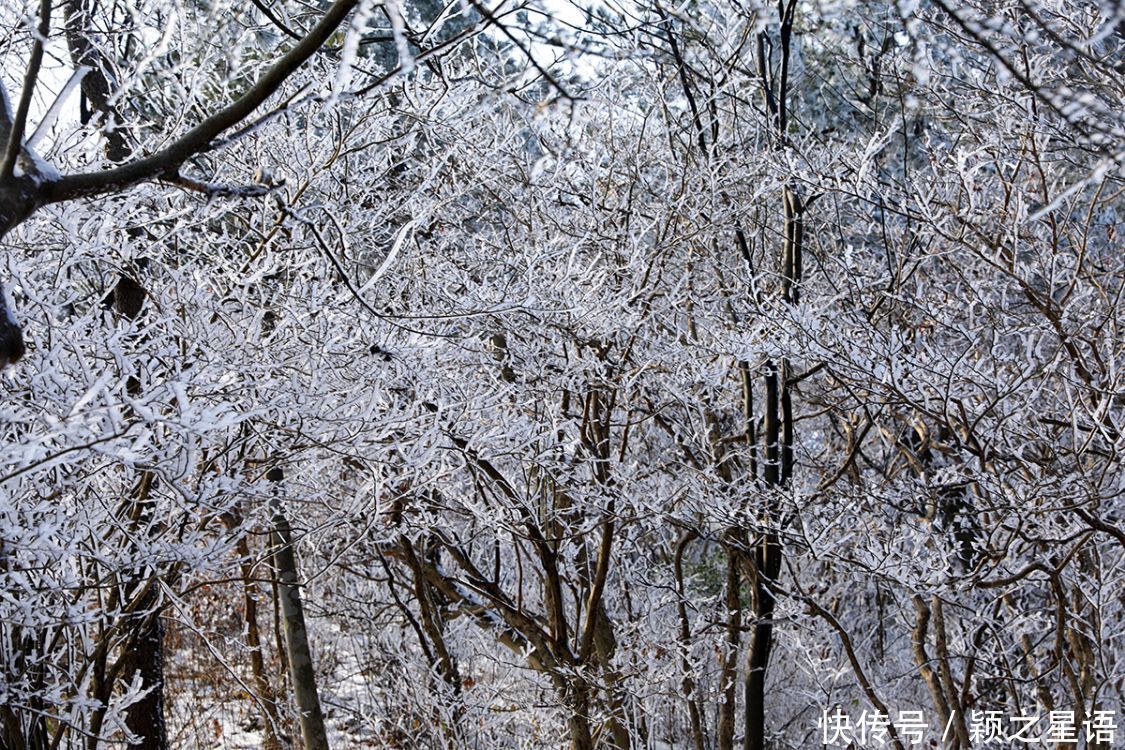 黄泥浆岗|宁波第二高峰，雪国风光，雾凇奇观