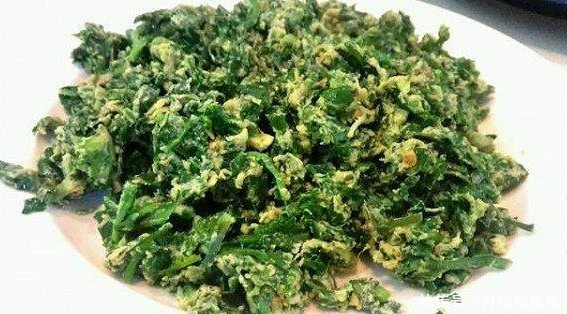 农村|这几种农村路边的野菜,营养价值高还能治病,城里人最爱!