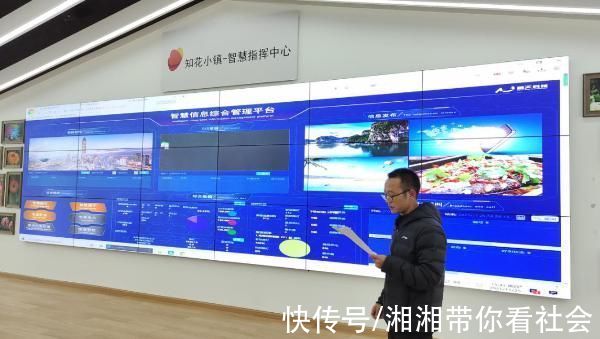 开远|「数字乡村」让花朵更有“智”感，数字化建设助力开远花卉相关产业