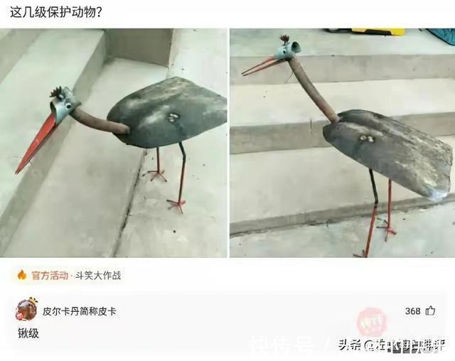 |搞笑神评:和女孩子约会一定要去爬山,坡越陡越好!都是套路啊