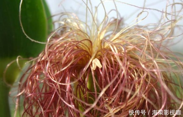 煎一碗汤|8个生活小偏方,简单又实用