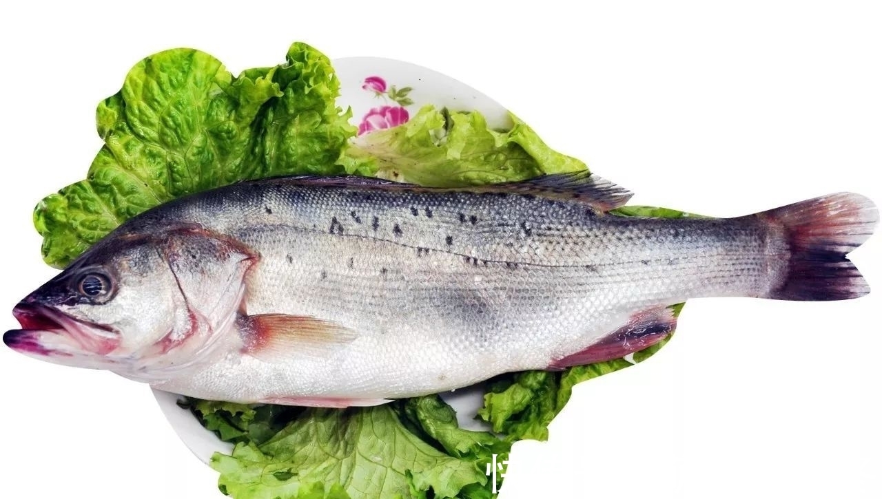 鱼汤|吃鱼有讲究,这些鱼已被列入“黑名单”,再好吃也不能给娃吃一口