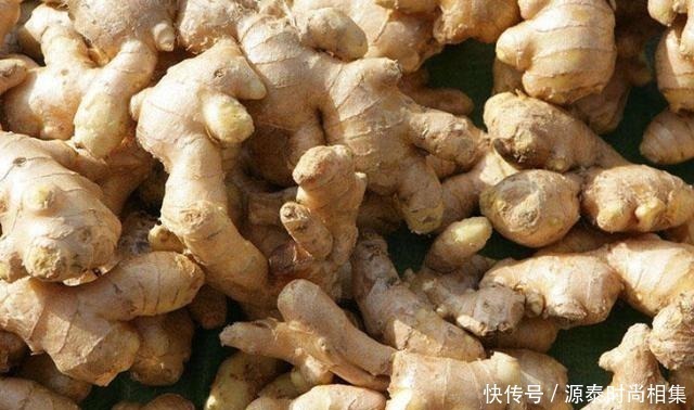 生姜放久了就干瘪,试试这个小妙招,不管放多久都新鲜,特别实用