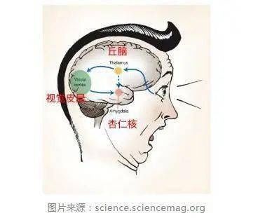 孩子|育·心理｜当孩子说：“妈妈，我怕！”你的第一反应很重要