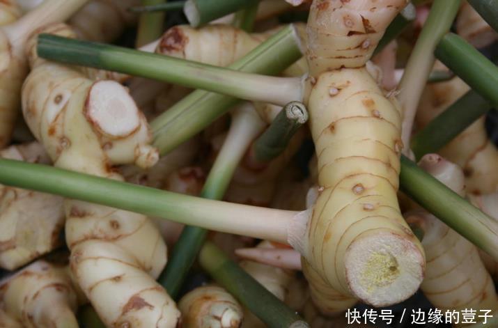 生姜叶子发黄是什么原因,生姜叶子发黄怎么办,看看老农的做法