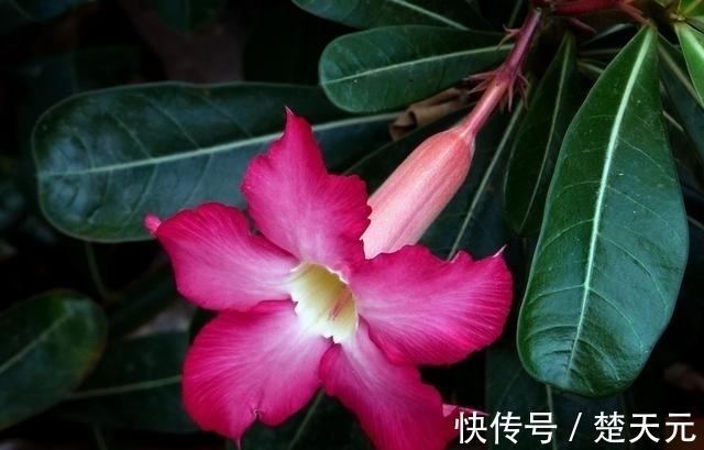 巨蟹座|8月,真爱降临,爱情展开怀抱,从此许下誓言,相守一生