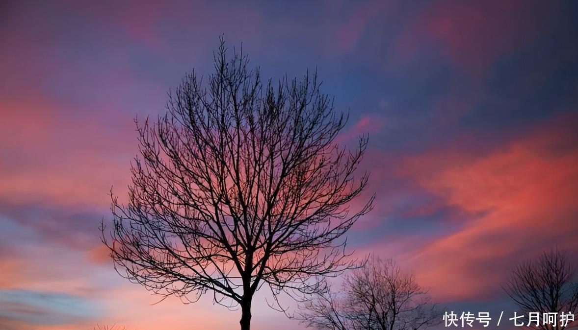 男人欲成大事,不能靠单枪匹马,掌握这四招驭人术,方能少走弯路