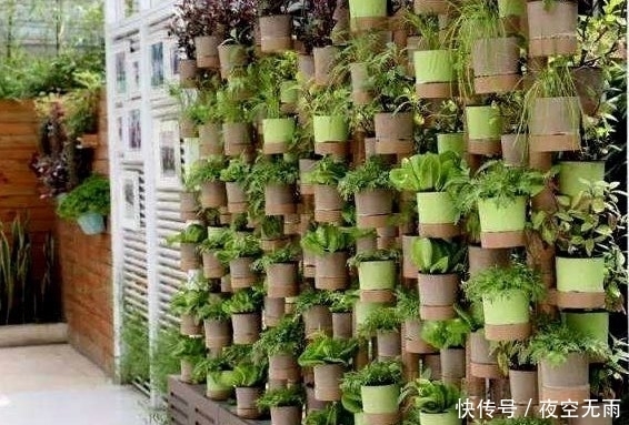 新意|花友直接用旧地毯做成种菜的工具,颇有新意,以后不愁没种菜盆了