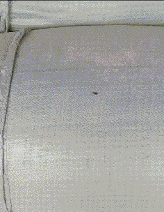 |搞笑GIF:要不是有监控,今天这事儿是说不清了