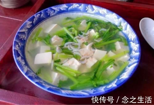 茼蒿菜|真正的“补钙汤”找到了，钙质比牛奶还高，简单煮一煮，不懂吃可惜了