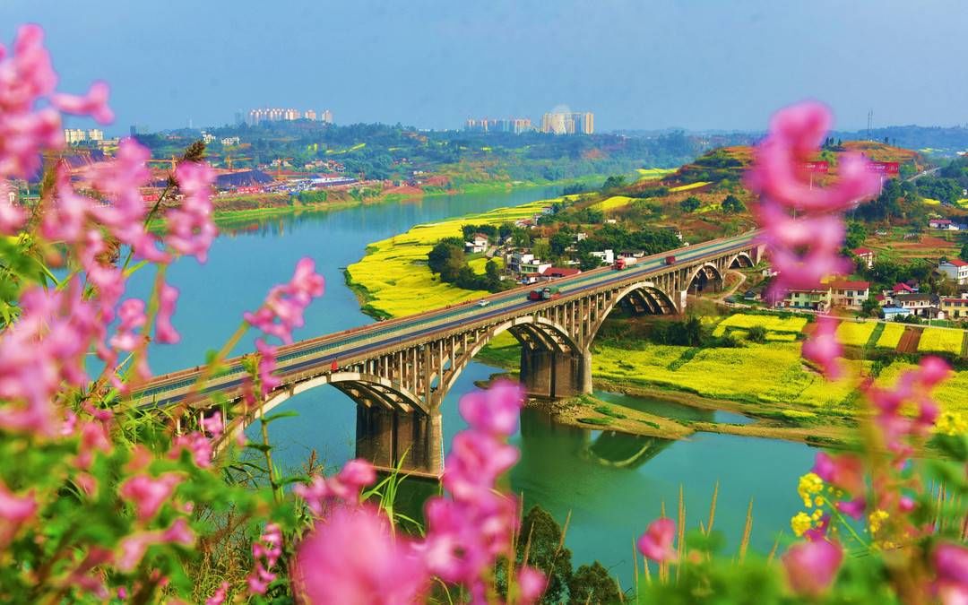 源头|百城行|走进书画之乡 追溯甜蜜源头