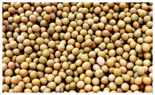 失眠|失眠越来越严重?提醒:晚餐时,这4物若忌口,或能让你倒头就睡