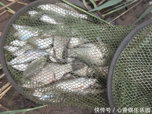 30多年前，我花一块钱买的钓鱼小册子，让我悟出了钓鱼的门道