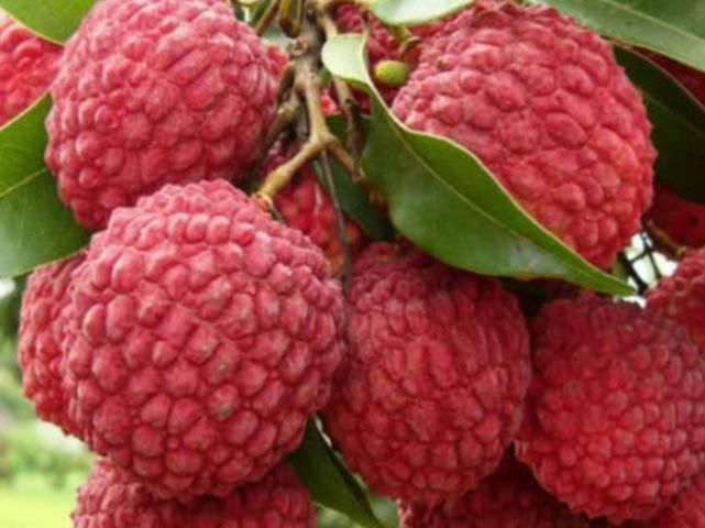 手头|得了肝病不要害怕,“手头再紧”也要多吃4物,或越吃肝脏越健康