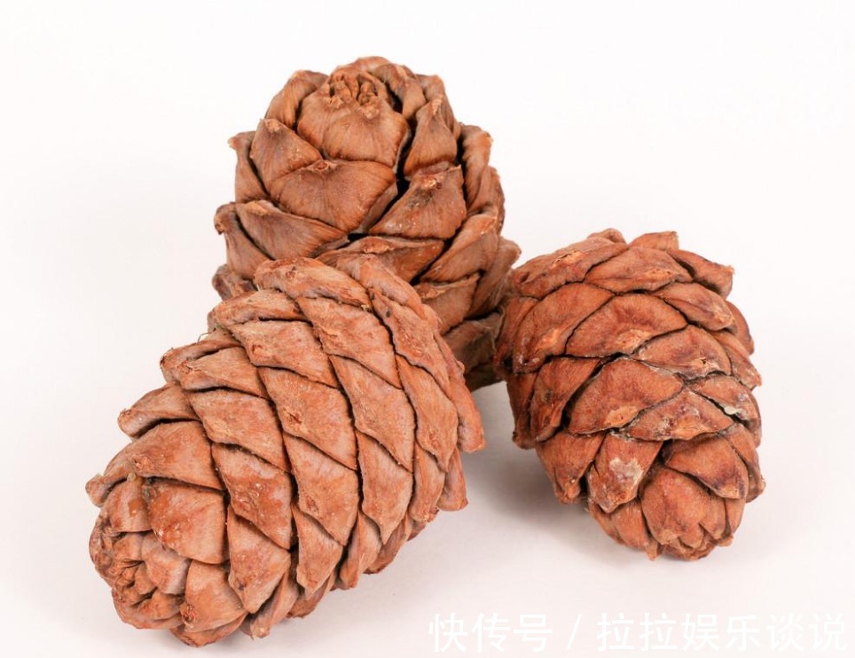 家里面几种垃圾不能扔,用来种花,是植物很好的肥料