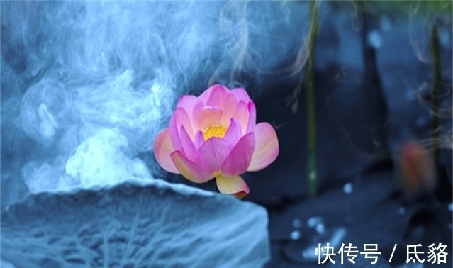 忧愁&《乐府诗集》10句唯美名言,深刻走心,让人忍不住点赞