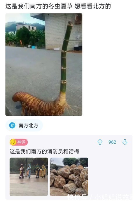 |搞笑神评论:这家早餐店的味道真的好,每天都要来吃三大碗