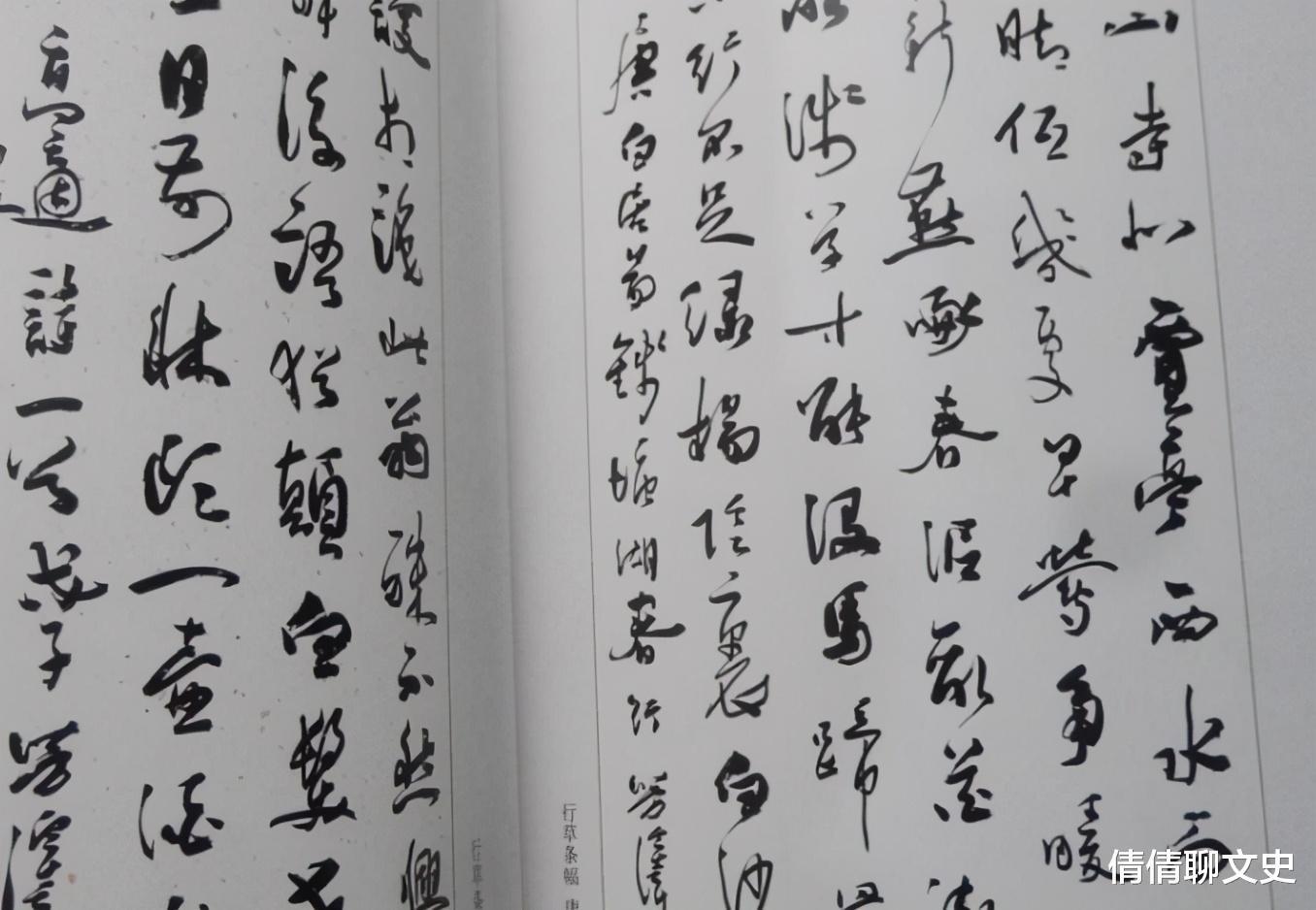 刘玉璞&“农民小伙”王芳泽靠书法买7套房，走红后拒绝年薪40万的工作