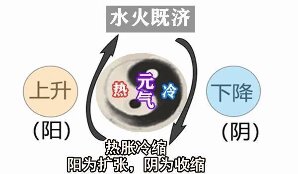 寒则热之热则寒,中和用药解胃炎|大白话说中医第一百五十四期| 寒症