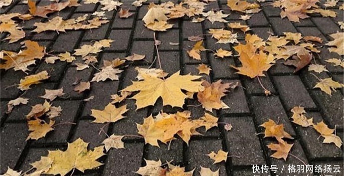 诗词|唐朝寒衣诗词六首:落叶惊风处处飞,绫梭夜夜织寒衣