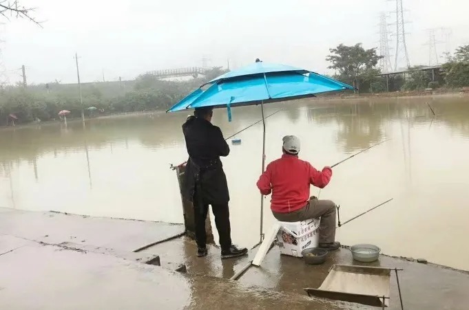 钓无定律|三番五次提醒你：气温下降，我只用这么一套钓法，大板鲫钓过了瘾