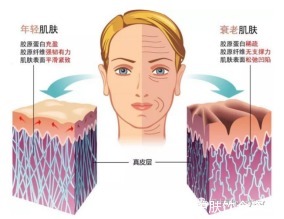 收获|每天16.6元,收获自然健康美肌!