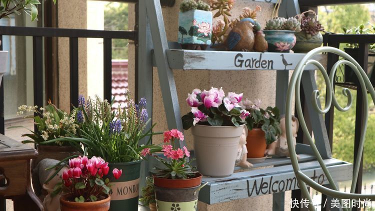 洋房|为了可以养花,我建了座小洋房,终于可以打造梦寐以求的花园了