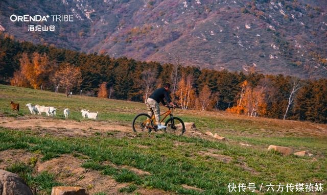  海坨|海坨山谷深秋相册，山谷之美，陪伴常在