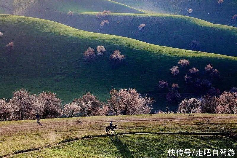 中国的春天究竟有多美？去这些地方看看就知道了