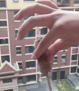 |搞笑GIF：大哥看你再有钱，也改不掉以前落下的职业病啊