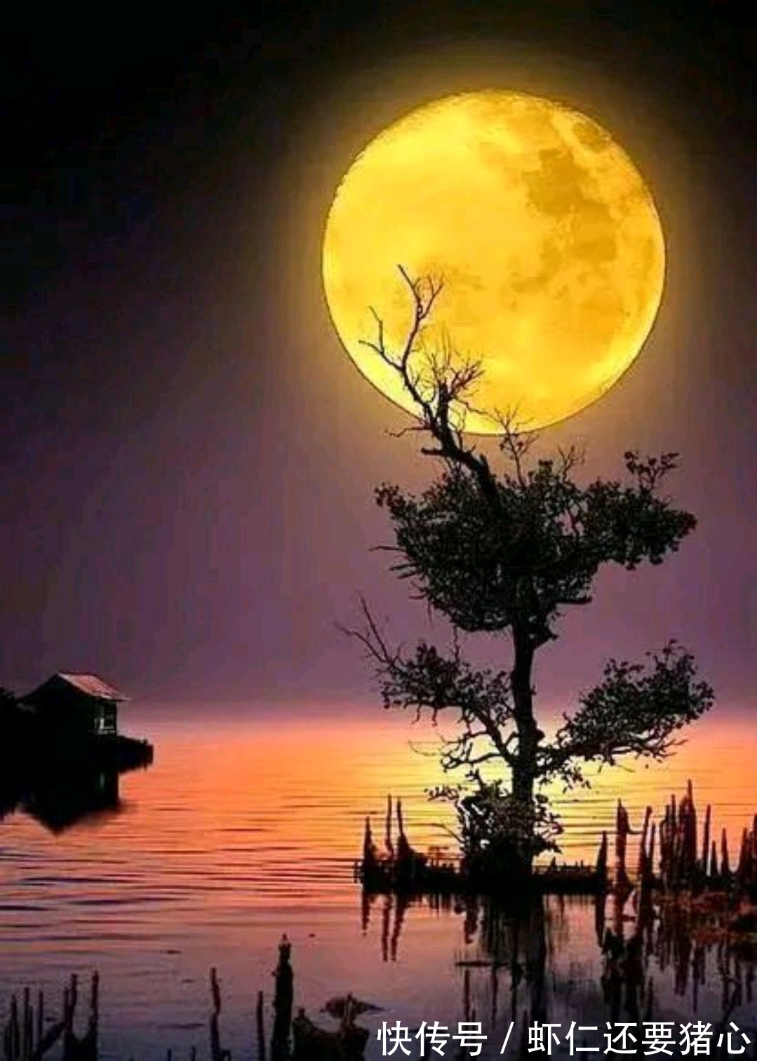 故里!野渡征联:昆仑山上立肝胆,邀对下联。并97期优秀作品选登