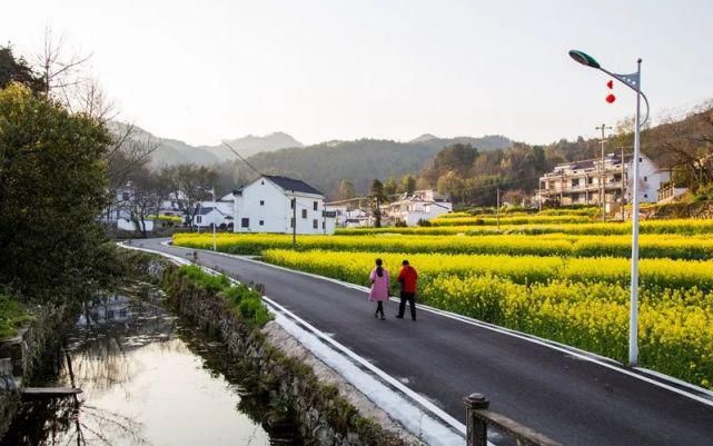 田园|潜山痘姆：花漾田园春正好