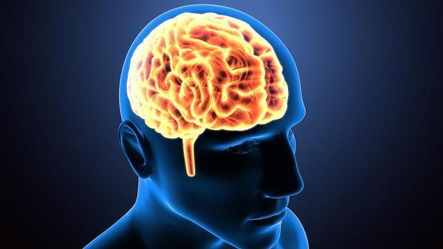 供血|大脑供血不足,不要再碰这2物,不然头上血管容易堵住