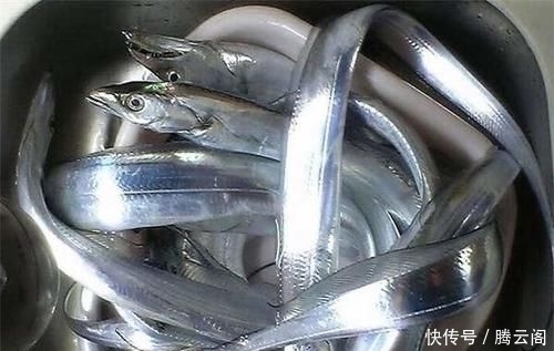 烹饪带鱼,去腥时别只加盐!大厨说多加一样东西,鱼肉鲜嫩没腥味