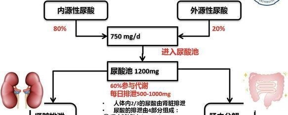 我慌了！原来痛风不止是脚疼，还有这么多严重的并发症！