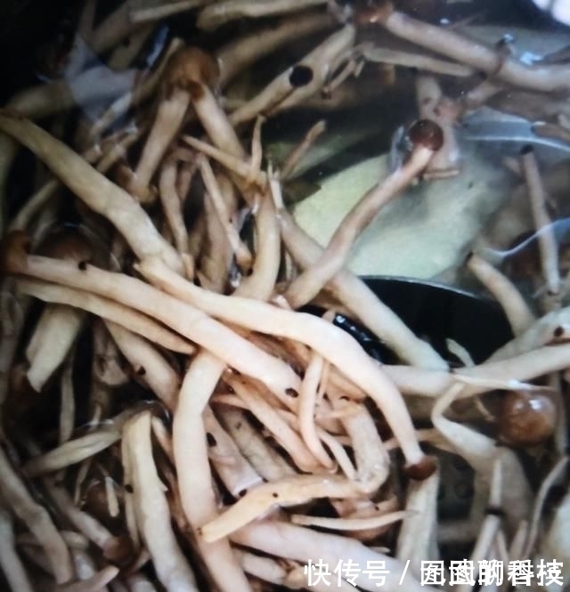 菇盖|它是肠道“通便器”,隔三差五吃一碗,排除黑臭宿便,抹平大肚腩