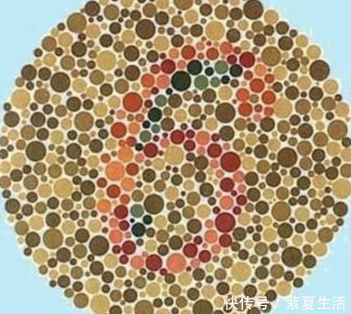 色盲测试如果找不出图中数字9,很遗憾的告诉你,将告别开飞机