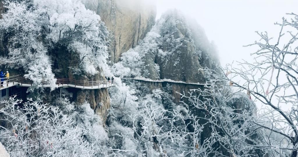 景点|老君山才不是一般的“网红”景点