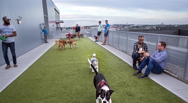 建筑学家|一楼和顶楼的房子能不能买?建筑学家:不要被表面现象所迷惑