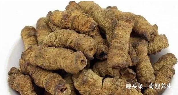 覆盆子|此物被封为补肾阳“三才子”，一天几毛钱补肾效果就很好