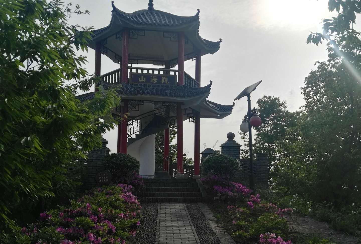 子路|子路对曰“有之,诔曰祷尔于上下神祇”子曰丘之祷久矣