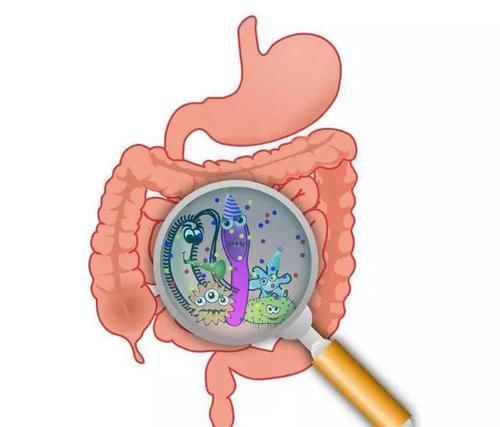 肠道|55岁，是长寿关键期，护“三处”，按“三穴”，离长寿更进一步
