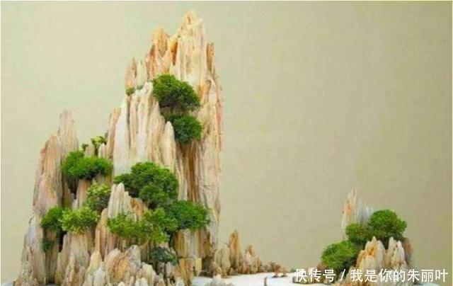 养花|大爷用石头、盘子来养花,布局造景,这就是山水盆景的魅力!